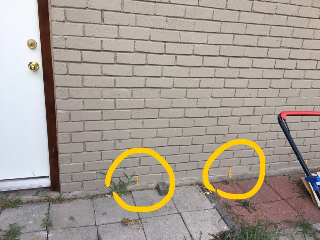 Step by Step Process Process for Fixing Weep Holes
