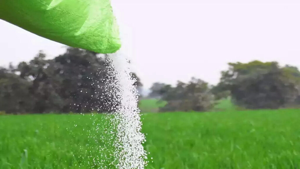 Take Into Account the Cost of fertilizer