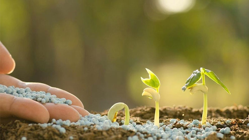 Think About The Environmental Impact
