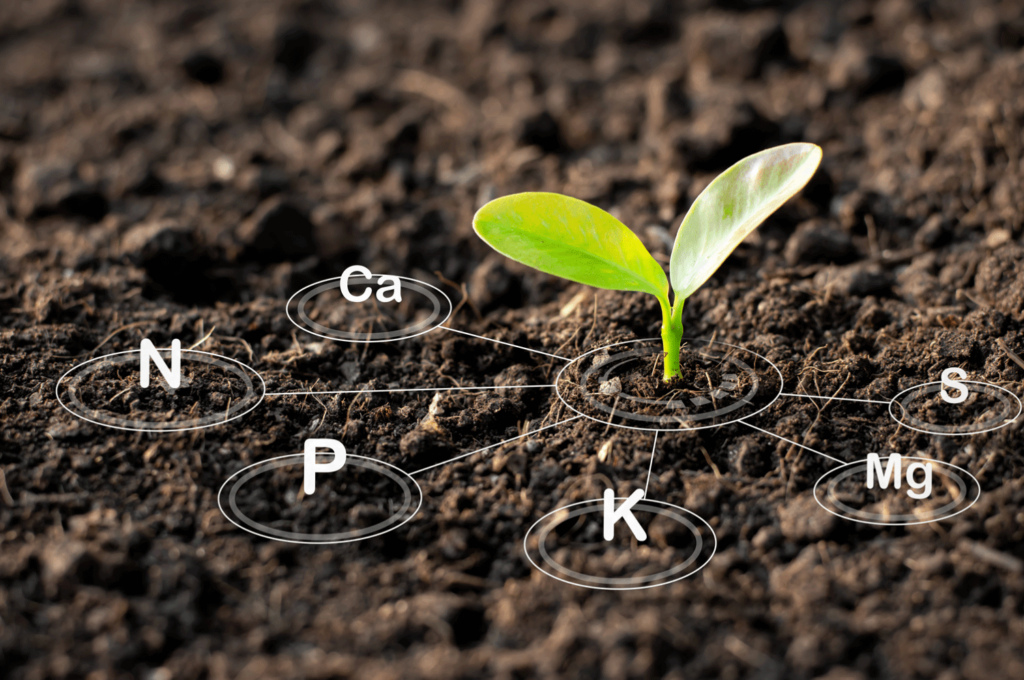 Understand the Nutrient Requirements of Your Soil