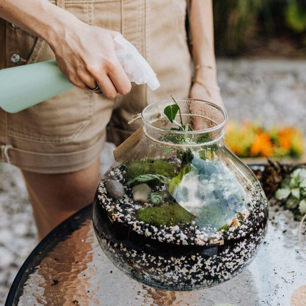 What Type of Water is Suitable for Terrarium Plants