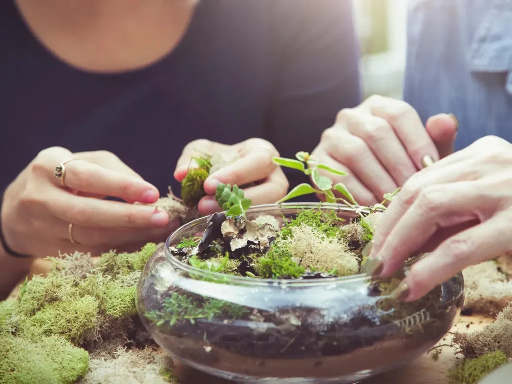 What is Mold?