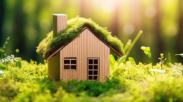 Eco-Friendly Home Renovations: How to Go Green
