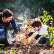 Tackling Invasive Plants Effectively