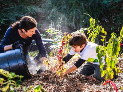 Tackling Invasive Plants Effectively