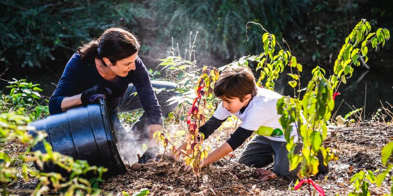 Tackling Invasive Plants Effectively