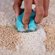 Protect Your Carpet with Stain-Resistant Features for Longer Use