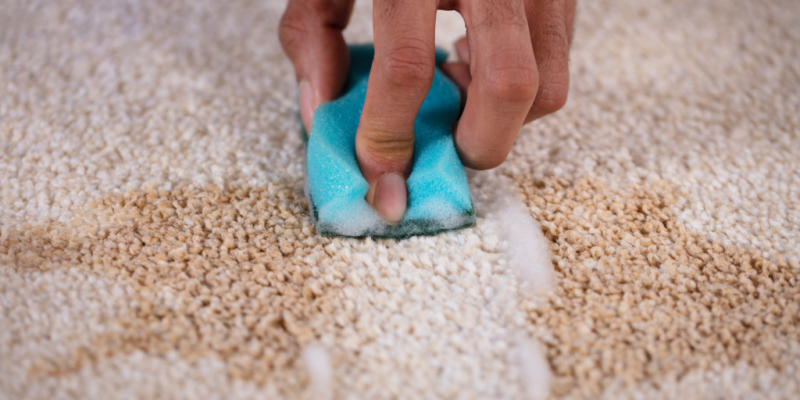 Protect Your Carpet with Stain-Resistant Features for Longer Use