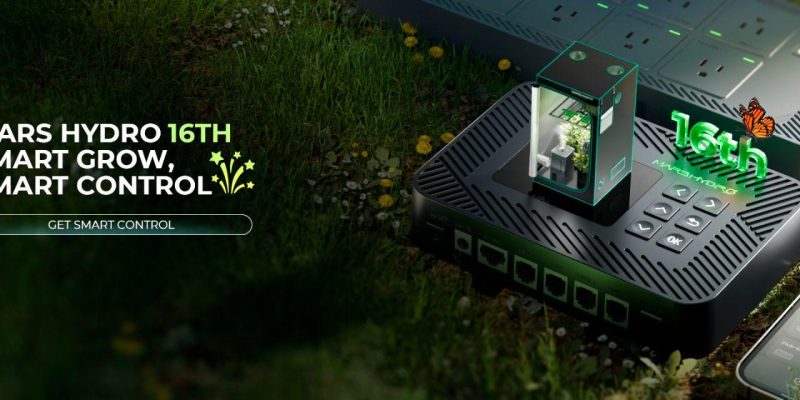 From Hobbyist to Pro: Upgrading Your Indoor Growing Setup