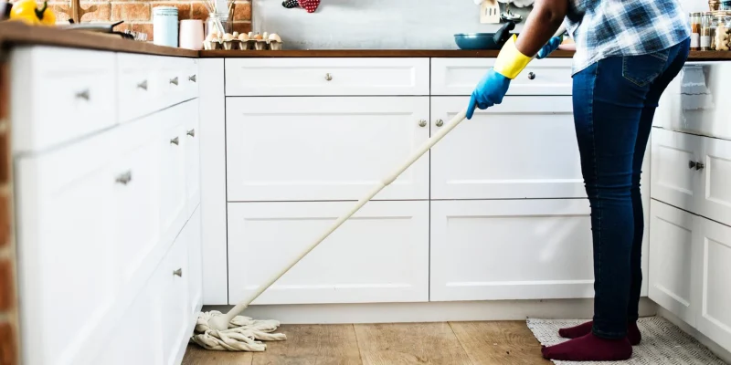 Professional Carpet Cleaning Services: Transform Your Home's Comfort and Health